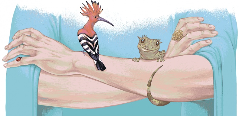 Рассказы просто так (сборник) Рассказы просто так (сборник)