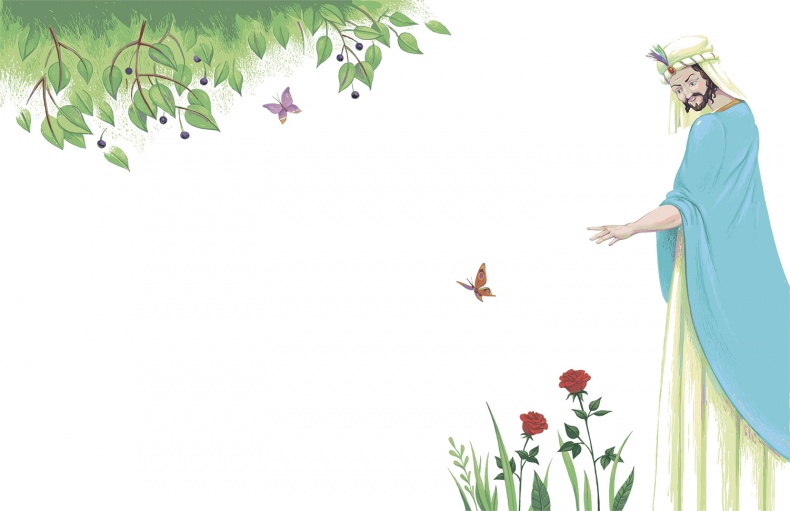 Рассказы просто так (сборник) Рассказы просто так (сборник)