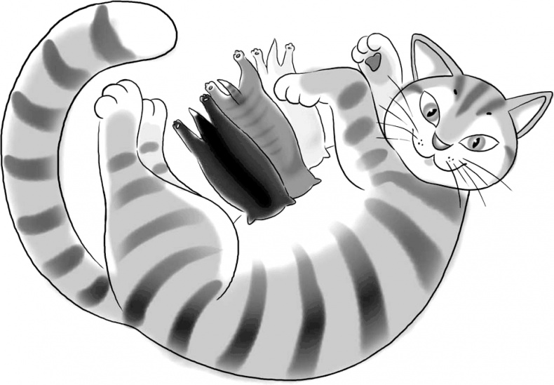 Череп в клубнике и другие тайны Тополиной дачи