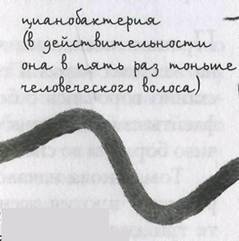 Принц из страны облаков Принц из страны облаков