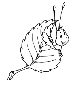 Пальчиковые игры для детей от года до трех лет Пальчиковые игры для детей от года до трех лет