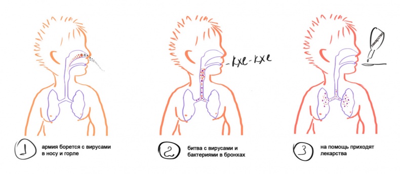 Как я устроен Как я устроен