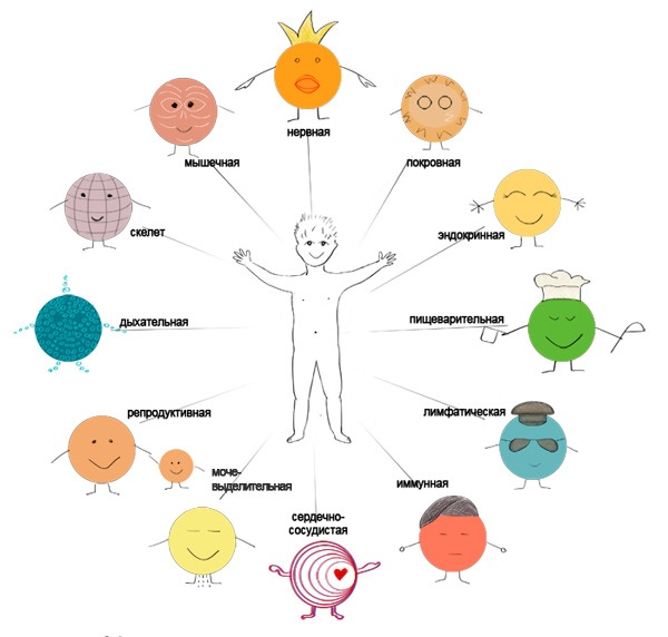 Как я устроен Как я устроен