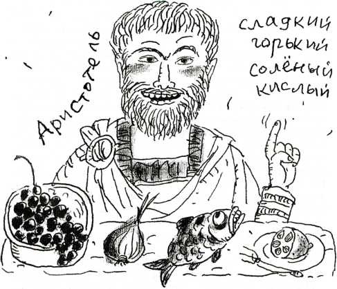 Тайны запаха и вкуса