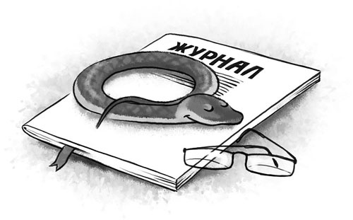 Школьные рассказы Школьные рассказы