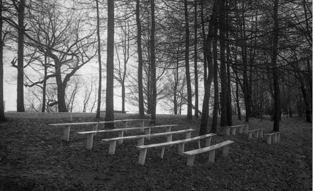 Ладья темных странствий. Избранная проза