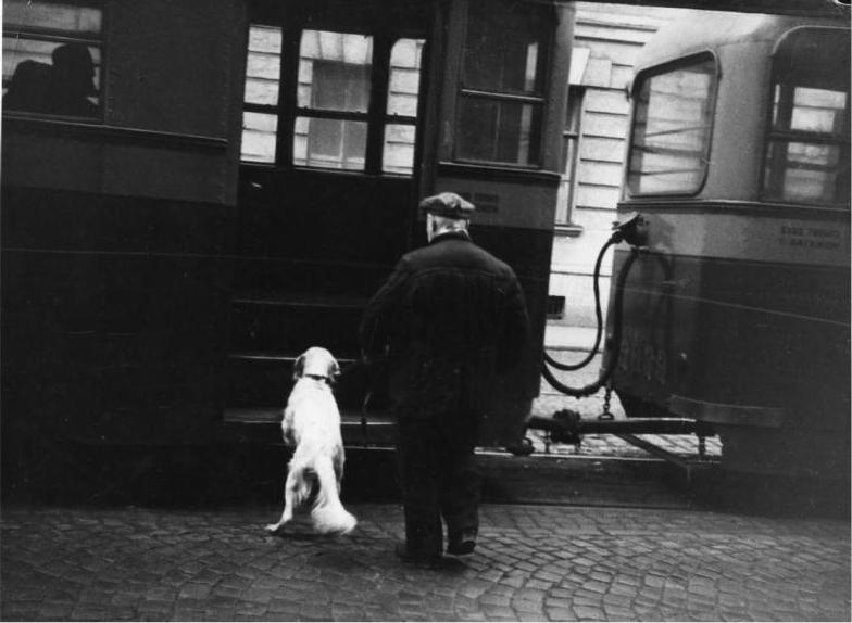 Ладья темных странствий. Избранная проза