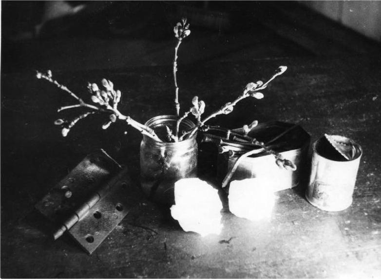 Ладья темных странствий. Избранная проза