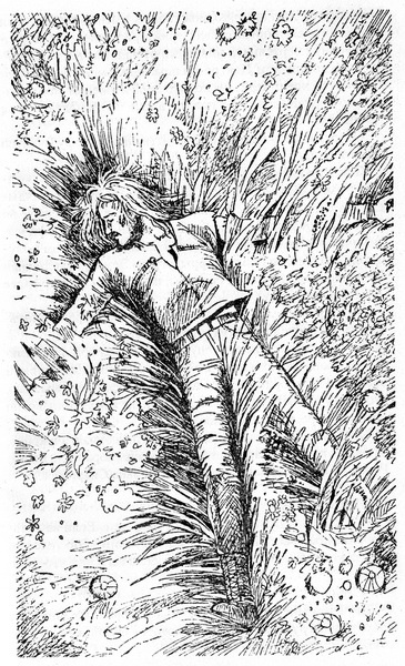 Зачет по выживаемости