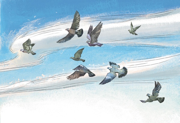 Самолеты и авиация