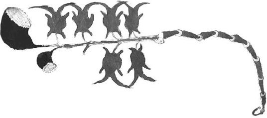 Танго смерти Танго смерти