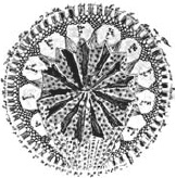 Танго смерти Танго смерти