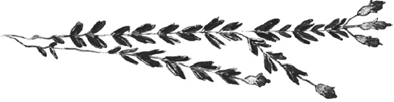 Танго смерти Танго смерти