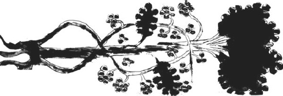 Танго смерти Танго смерти