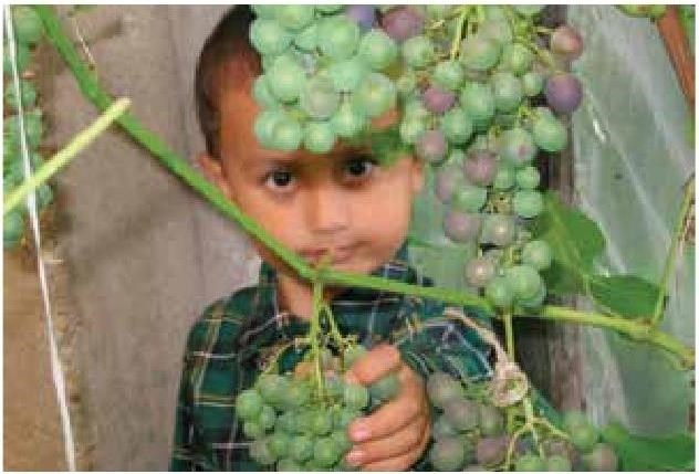 Рабочий календарь дачника, или Рабочие будни на даче Рабочий календарь дачника, или Рабочие будни на даче