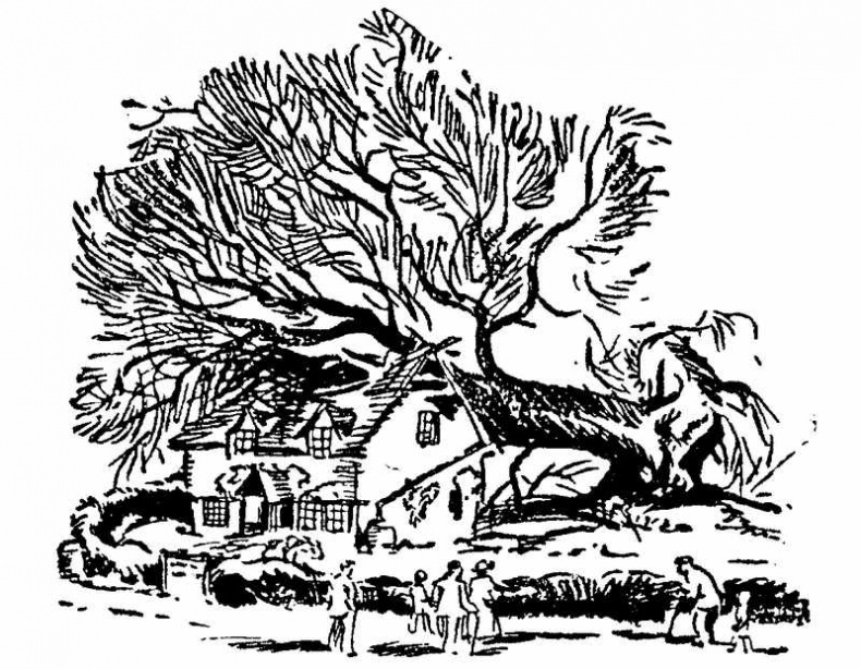 Тайна Приюта контрабандистов Тайна Приюта контрабандистов