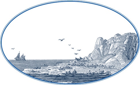 Путешествие по Сибири и Ледовитому морю Путешествие по Сибири и Ледовитому морю