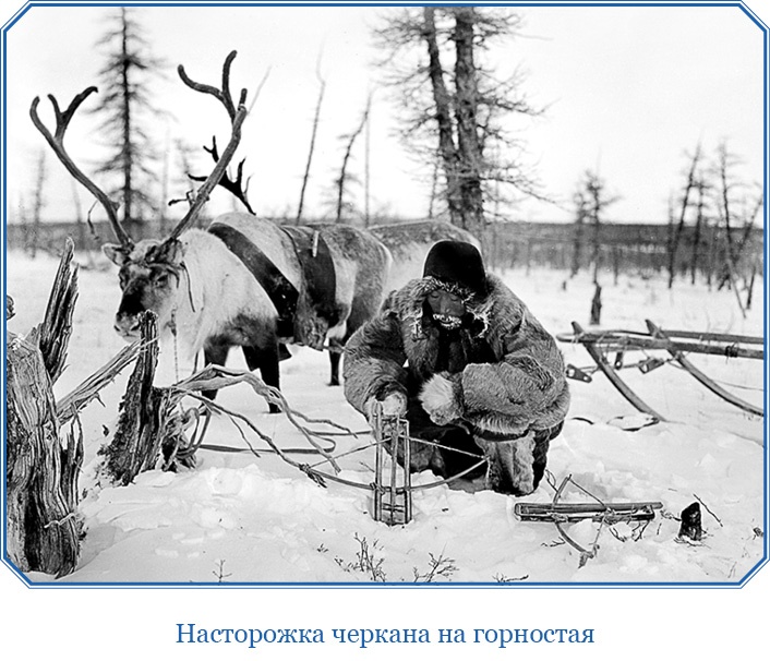 Путешествие по Сибири и Ледовитому морю Путешествие по Сибири и Ледовитому морю