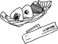 Япония: нестандартный путеводитель Япония: нестандартный путеводитель