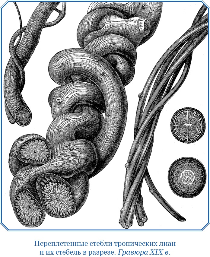 Второе открытие Америки