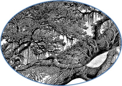 Второе открытие Америки