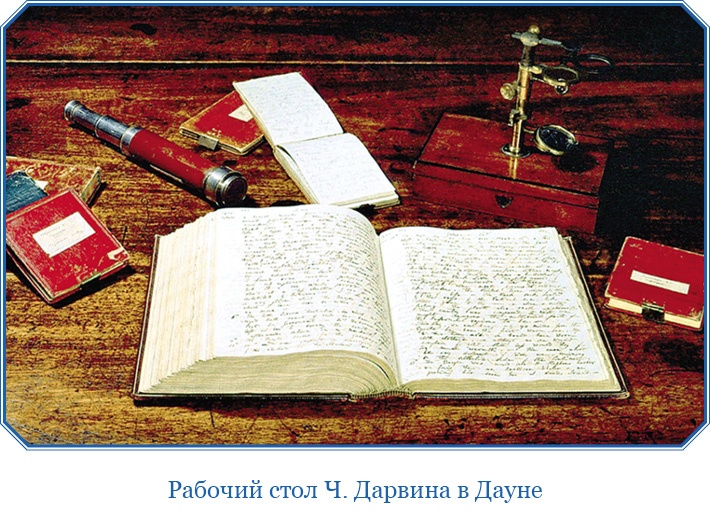 Путешествие вокруг света на корабле «Бигль»