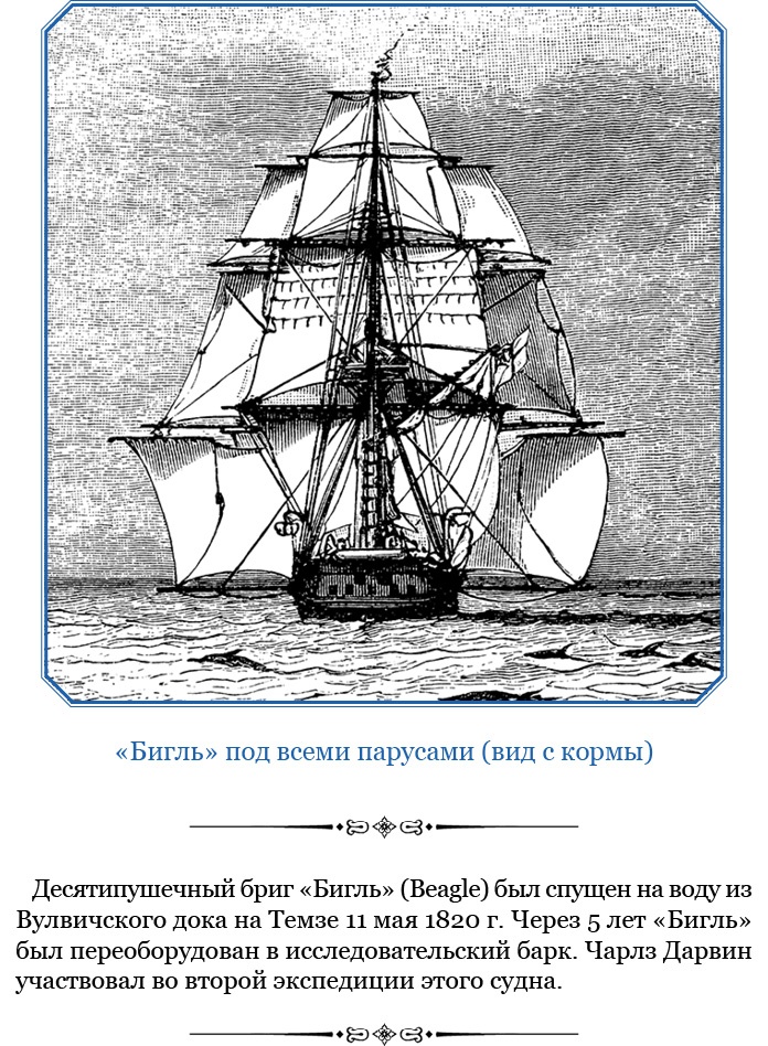 Путешествие вокруг света на корабле «Бигль»