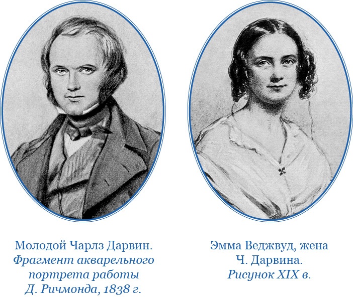 Путешествие вокруг света на корабле «Бигль»