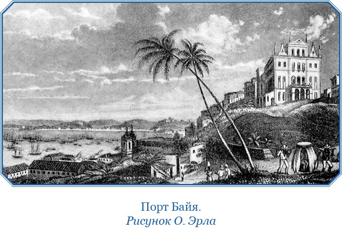 Путешествие вокруг света на корабле «Бигль»