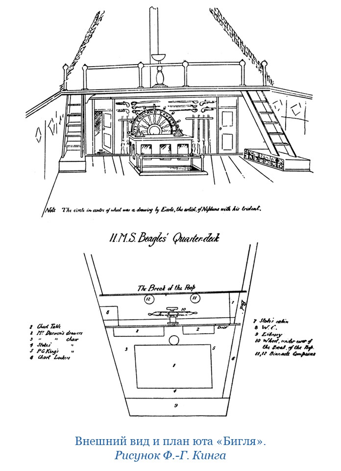 Путешествие вокруг света на корабле «Бигль»