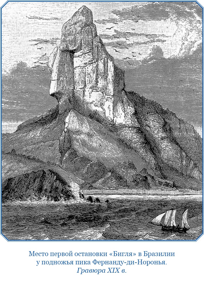 Путешествие вокруг света на корабле «Бигль»