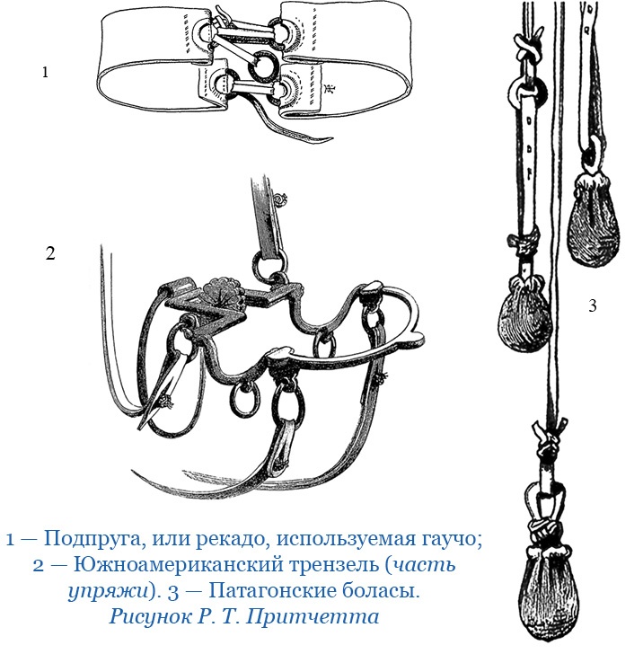 Путешествие вокруг света на корабле «Бигль»