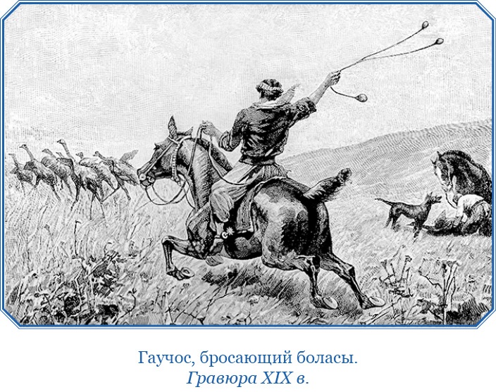 Путешествие вокруг света на корабле «Бигль»