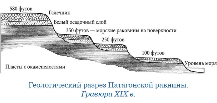 Путешествие вокруг света на корабле «Бигль»