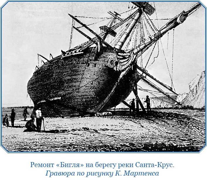 Путешествие вокруг света на корабле «Бигль»