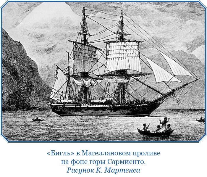 Путешествие вокруг света на корабле «Бигль»