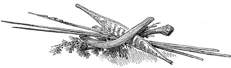 Путешествие вокруг света на корабле «Бигль»