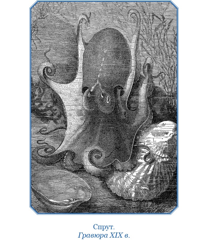 Путешествие вокруг света на корабле «Бигль»