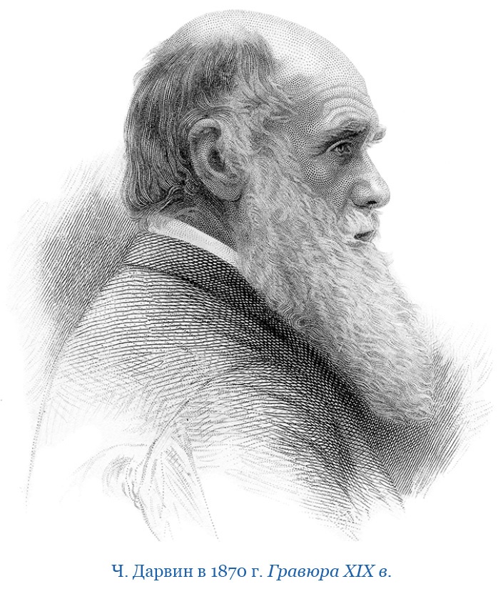 Путешествие вокруг света на корабле «Бигль»