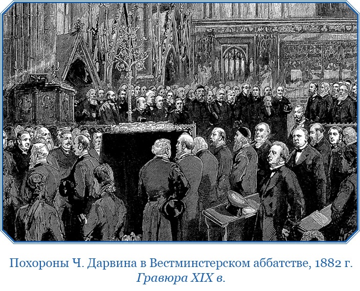 Путешествие вокруг света на корабле «Бигль»