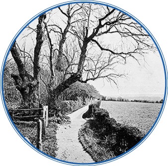 Путешествие вокруг света на корабле «Бигль»