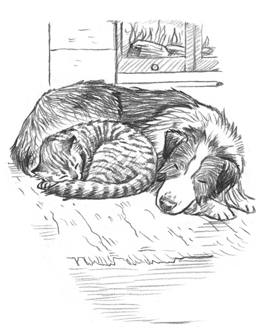 Энджел. Котенок обретает дом Энджел. Котенок обретает дом