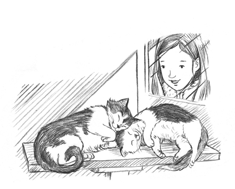 Энджел. Котенок обретает дом Энджел. Котенок обретает дом