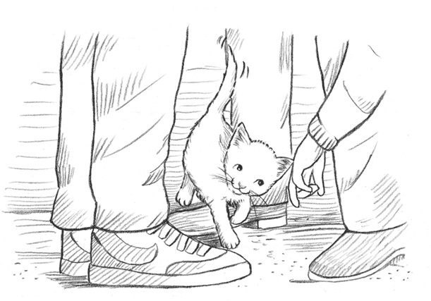 Энджел. Котенок обретает дом Энджел. Котенок обретает дом