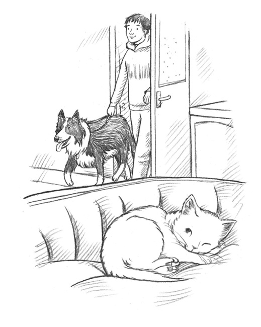 Энджел. Котенок обретает дом