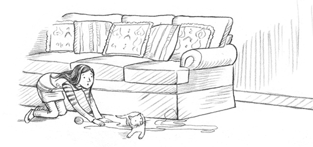 Энджел. Котенок обретает дом Энджел. Котенок обретает дом