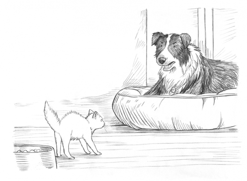 Энджел. Котенок обретает дом Энджел. Котенок обретает дом