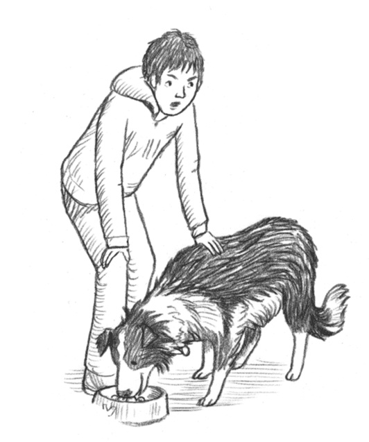 Энджел. Котенок обретает дом Энджел. Котенок обретает дом