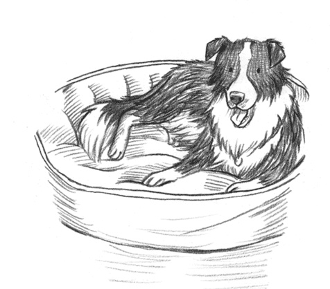 Энджел. Котенок обретает дом Энджел. Котенок обретает дом