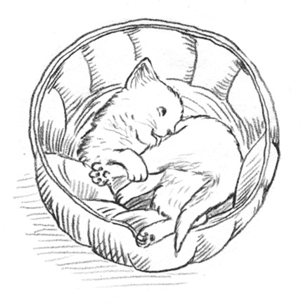 Энджел. Котенок обретает дом Энджел. Котенок обретает дом